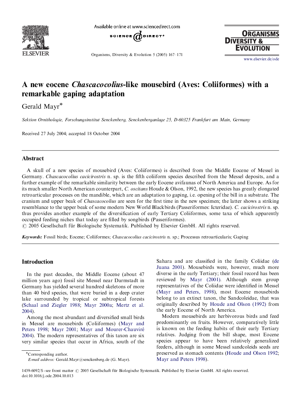 A new eocene Chascacocolius-like mousebird (Aves: Coliiformes) with a remarkable gaping adaptation