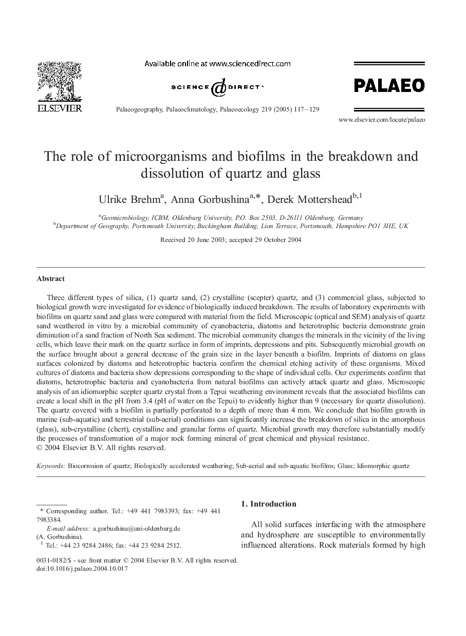 The role of microorganisms and biofilms in the breakdown and dissolution of quartz and glass