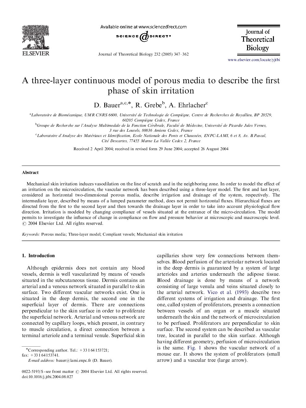 A three-layer continuous model of porous media to describe the first phase of skin irritation