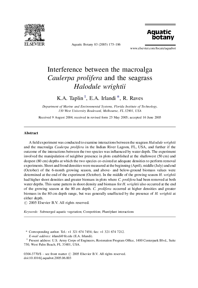 Interference between the macroalga Caulerpa prolifera and the seagrass Halodule wrightii