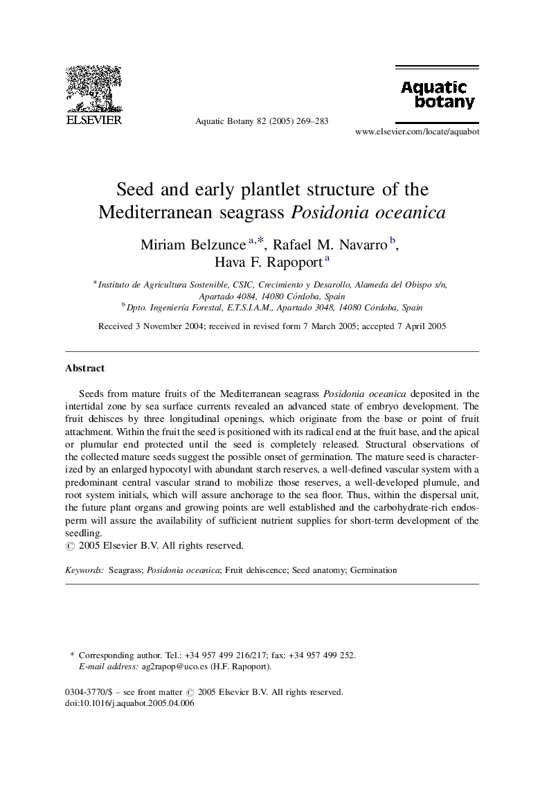 Seed and early plantlet structure of the Mediterranean seagrass Posidonia oceanica