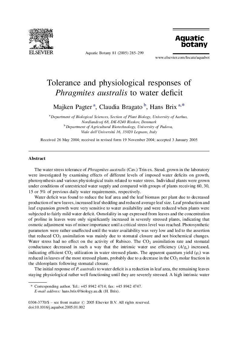 Tolerance and physiological responses of Phragmites australis to water deficit