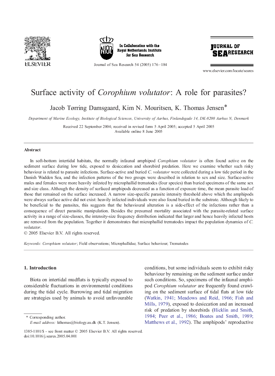 Surface activity of Corophium volutator: A role for parasites?