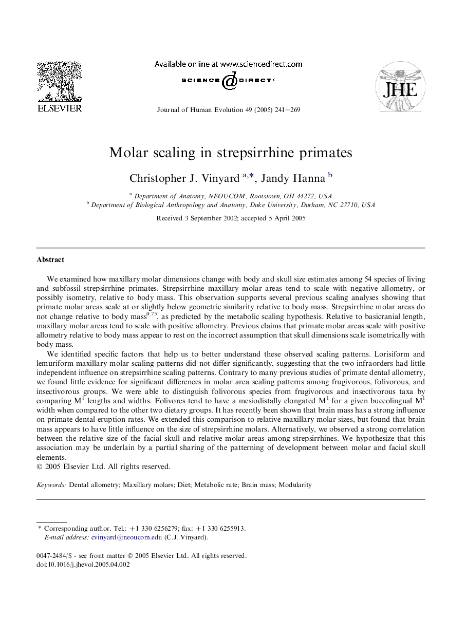 Molar scaling in strepsirrhine primates