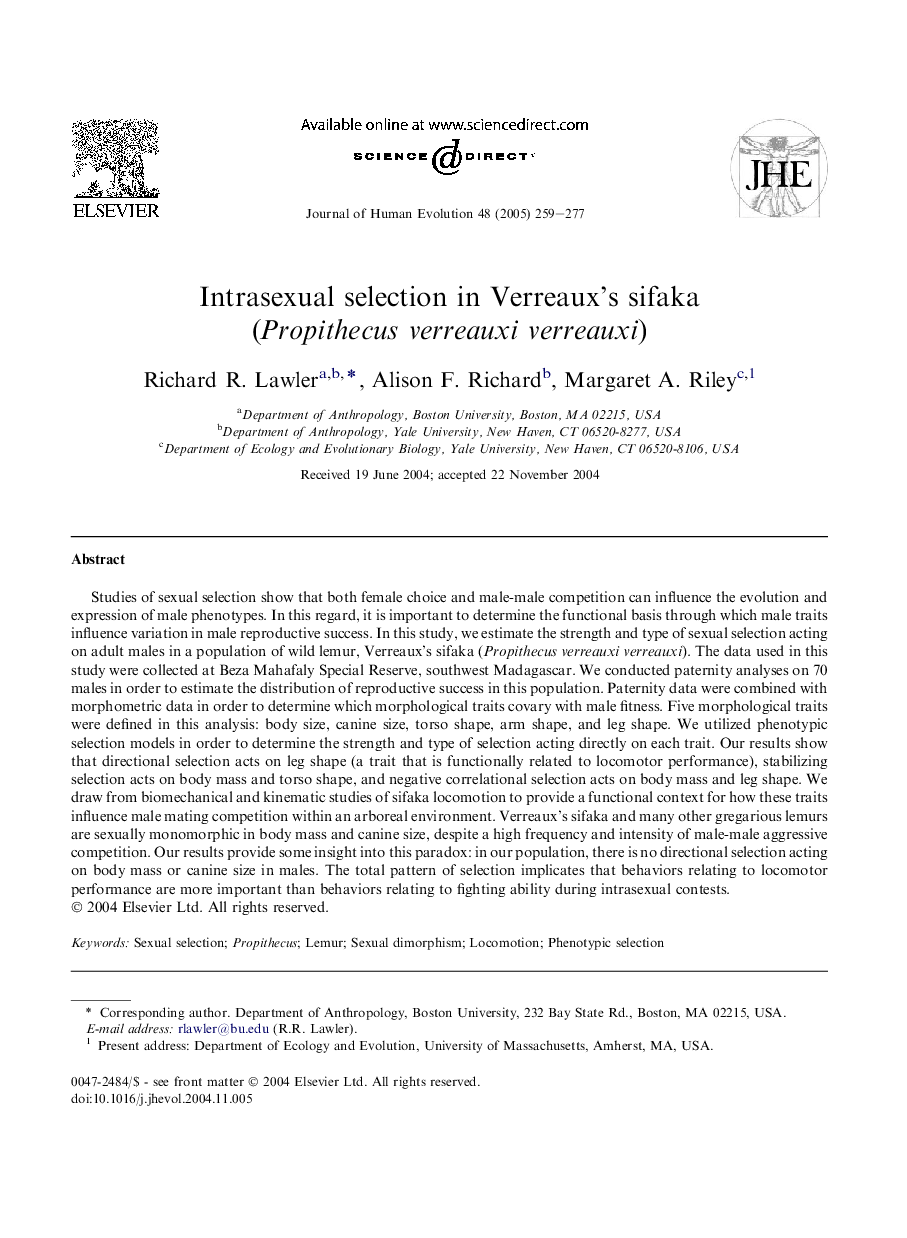 Intrasexual selection in Verreaux's sifaka (Propithecus verreauxi verreauxi)