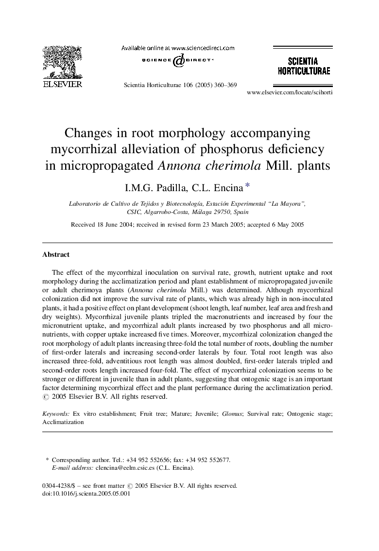 Changes in root morphology accompanying mycorrhizal alleviation of phosphorus deficiency in micropropagated Annona cherimola Mill. plants