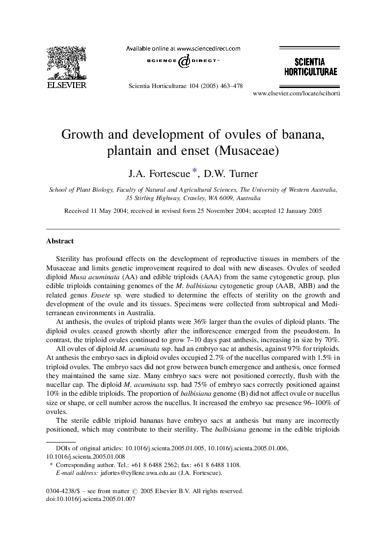 Growth and development of ovules of banana, plantain and enset (Musaceae)