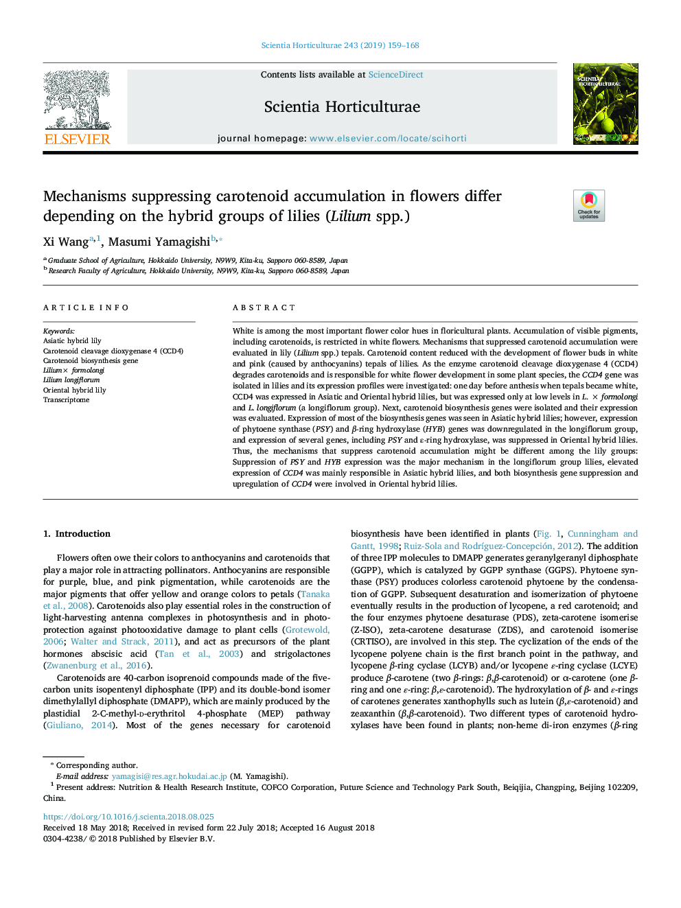 Mechanisms suppressing carotenoid accumulation in flowers differ depending on the hybrid groups of lilies (Lilium spp.)