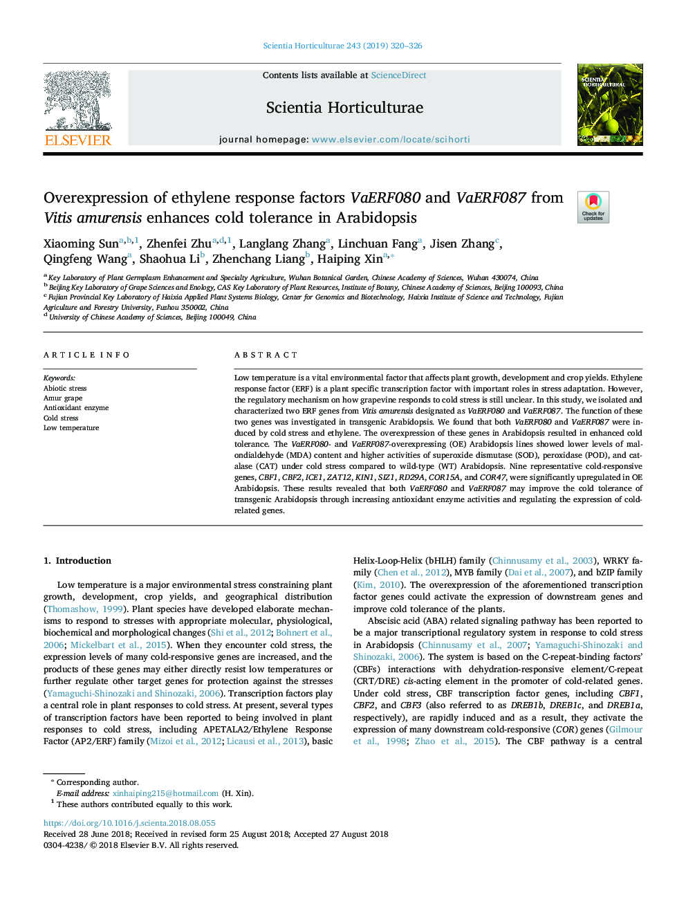 Overexpression of ethylene response factors VaERF080 and VaERF087 from Vitis amurensis enhances cold tolerance in Arabidopsis