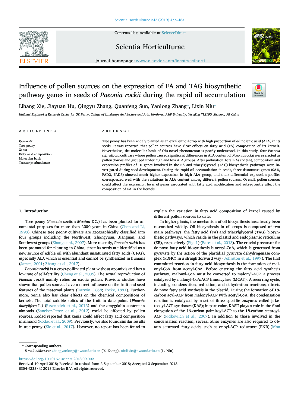 Influence of pollen sources on the expression of FA and TAG biosynthetic pathway genes in seeds of Paeonia rockii during the rapid oil accumulation