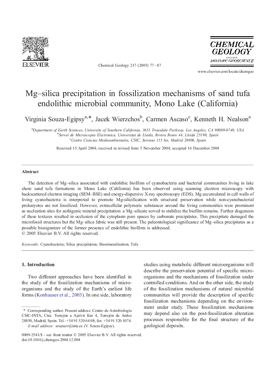 Mg-silica precipitation in fossilization mechanisms of sand tufa endolithic microbial community, Mono Lake (California)