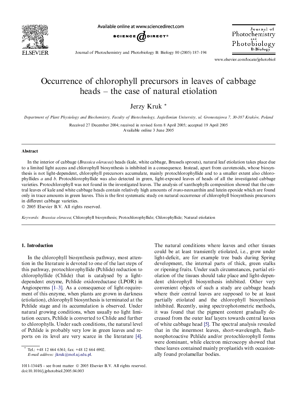 Occurrence of chlorophyll precursors in leaves of cabbage heads - the case of natural etiolation