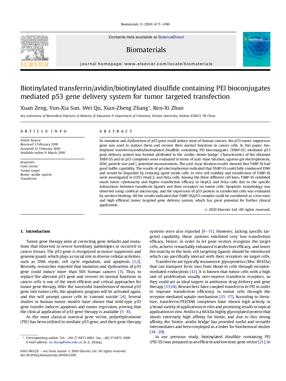 Biotinylated transferrin/avidin/biotinylated disulfide containing PEI bioconjugates mediated p53 gene delivery system for tumor targeted transfection