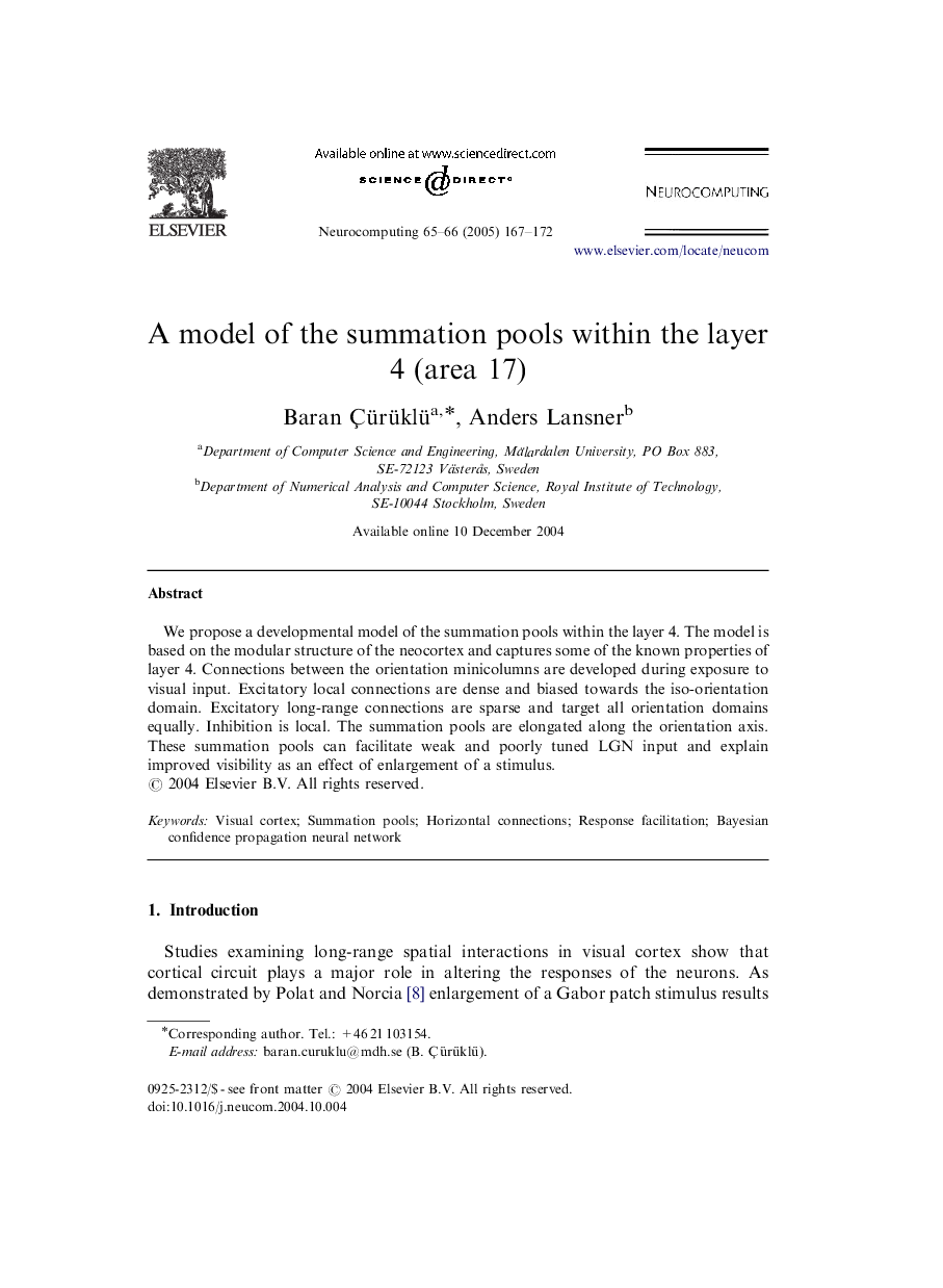 A model of the summation pools within the layer 4 (area 17)