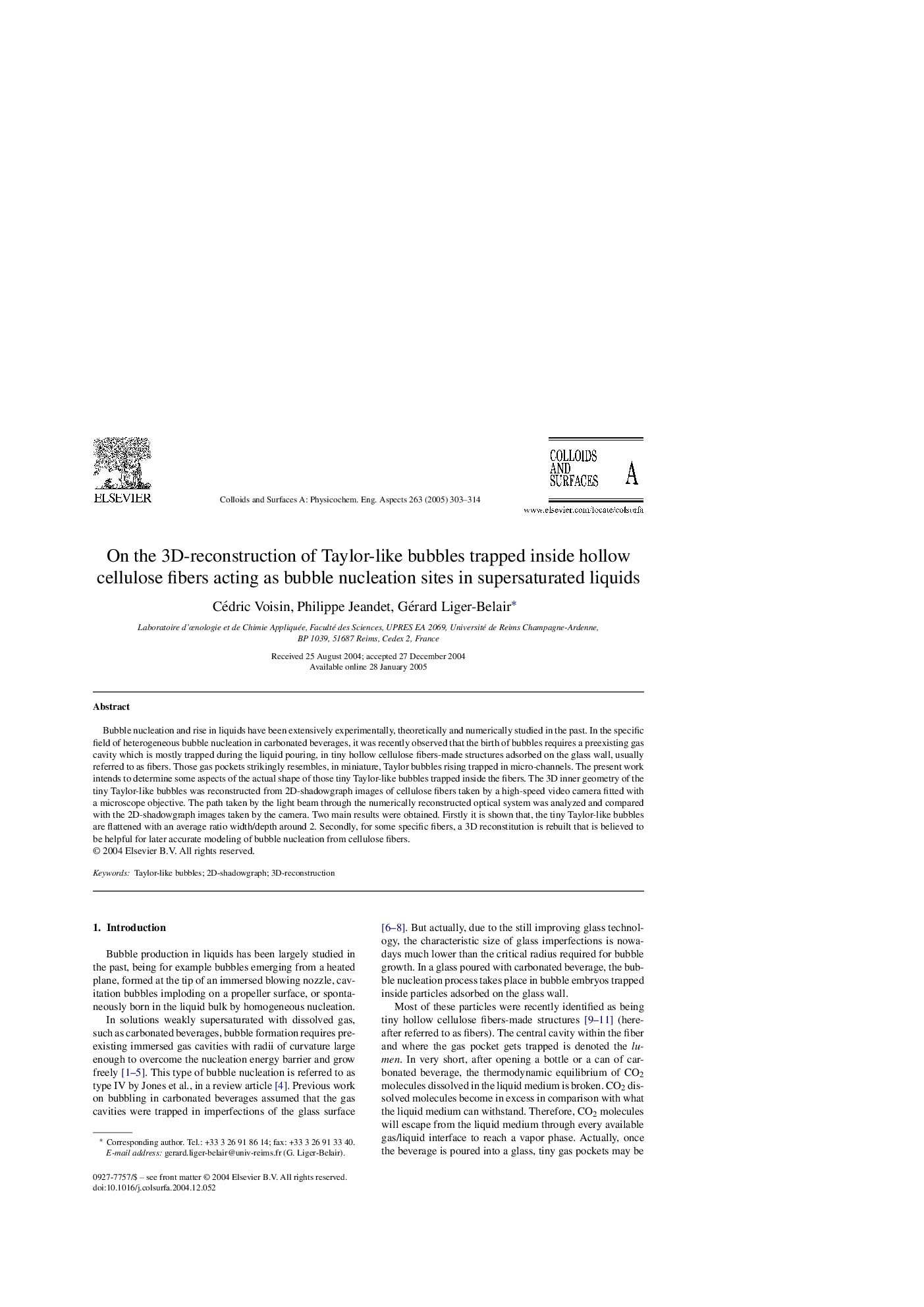 On the 3D-reconstruction of Taylor-like bubbles trapped inside hollow cellulose fibers acting as bubble nucleation sites in supersaturated liquids