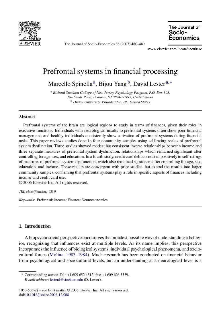Prefrontal systems in financial processing
