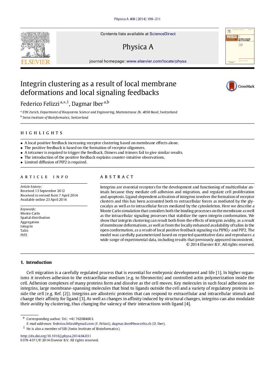 Integrin clustering as a result of local membrane deformations and local signaling feedbacks