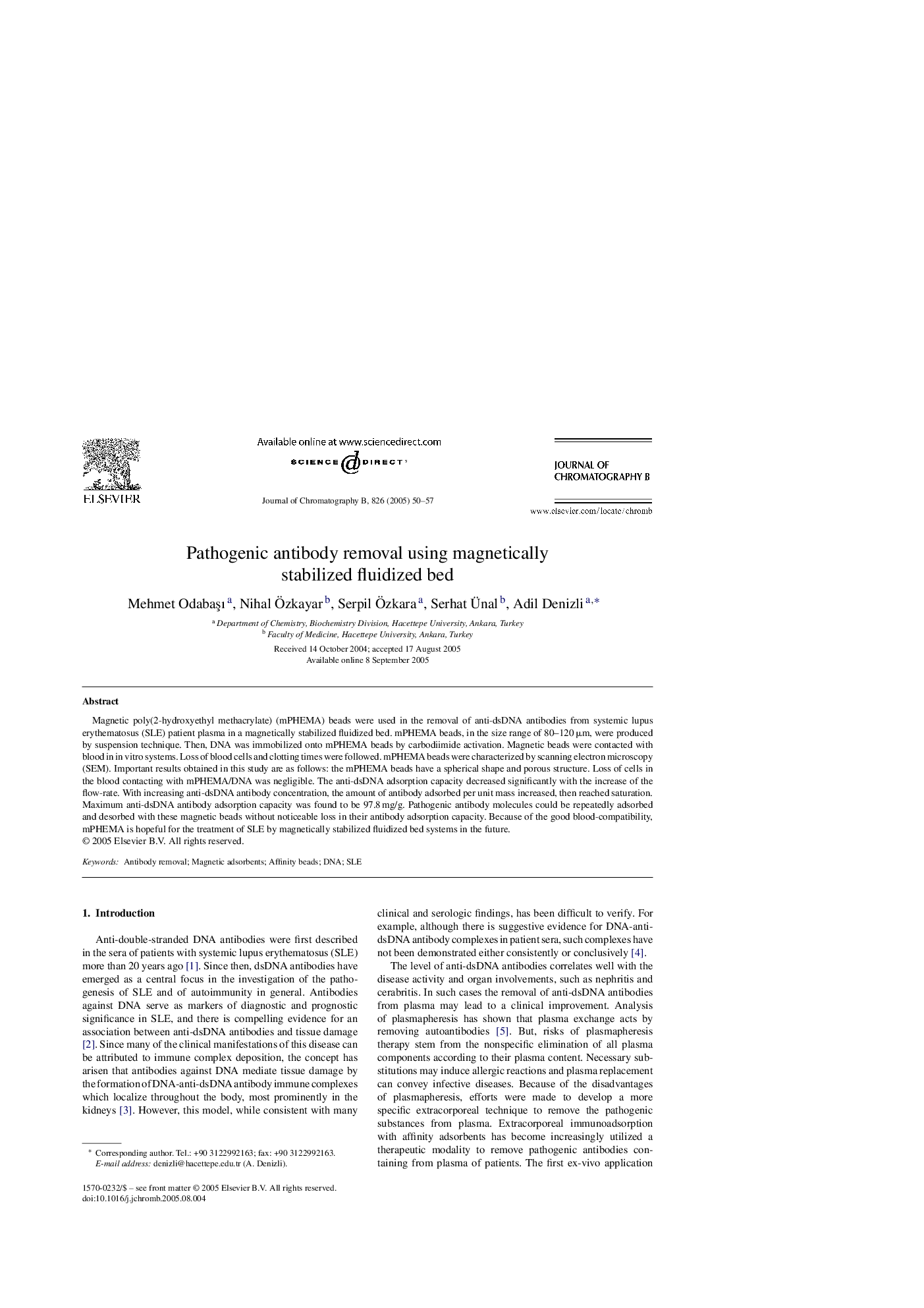 Pathogenic antibody removal using magnetically stabilized fluidized bed