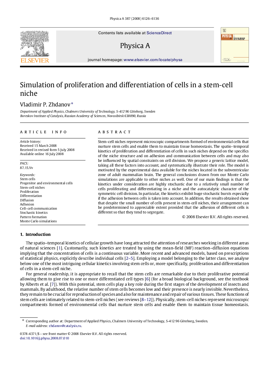 Simulation of proliferation and differentiation of cells in a stem-cell niche