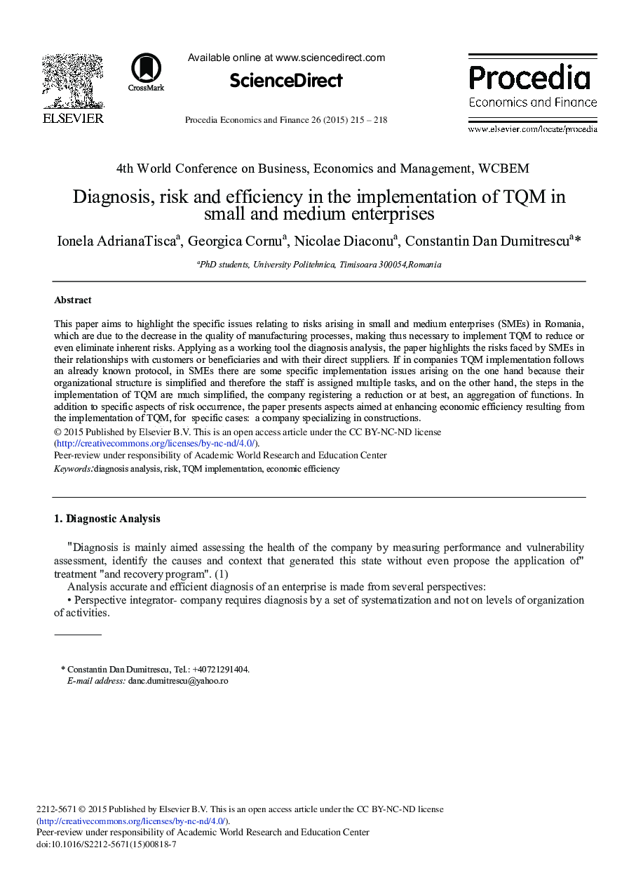 Diagnosis, Risk and Efficiency in the Implementation of TQM in Small and Medium Enterprises 