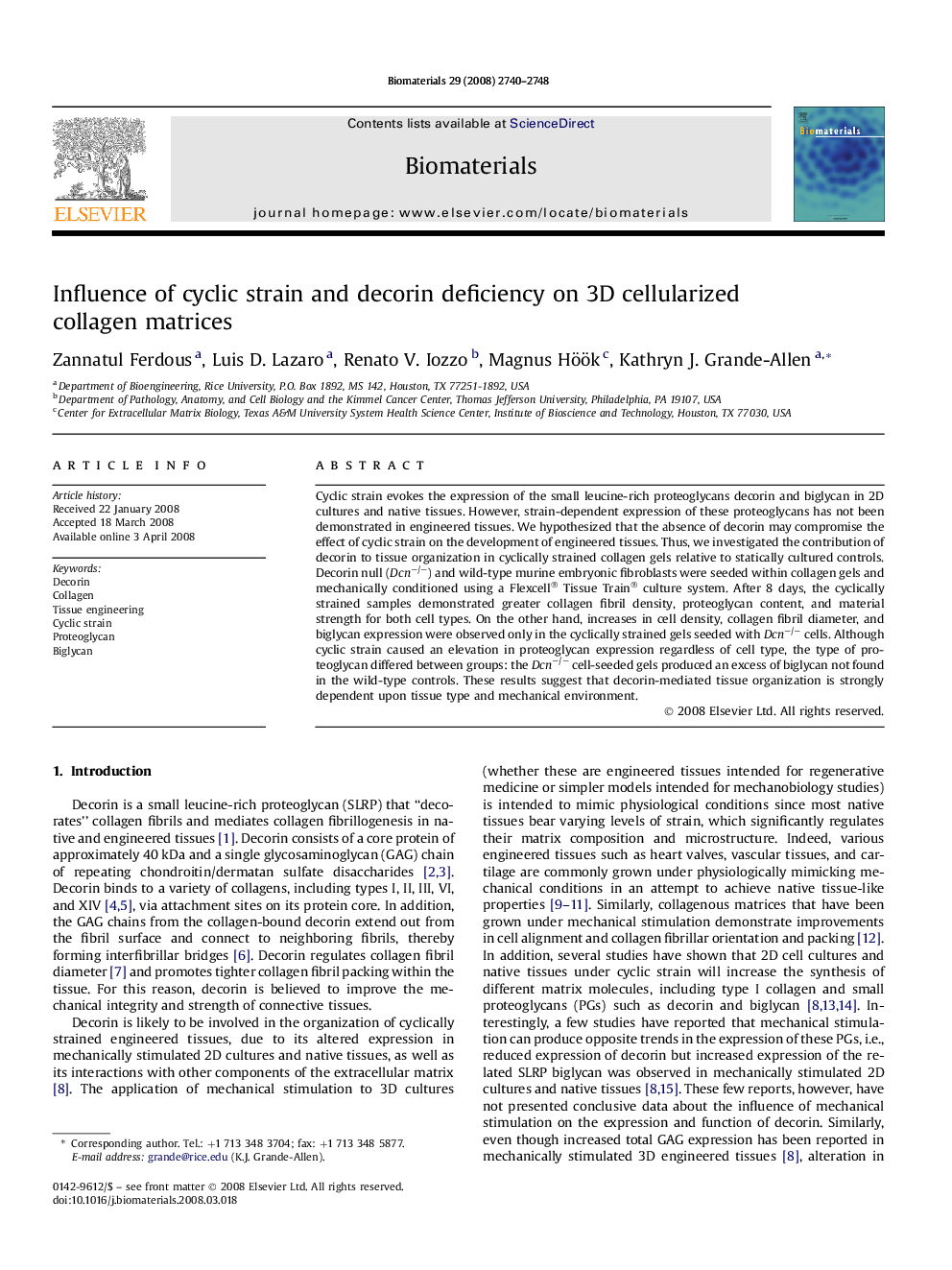 Influence of cyclic strain and decorin deficiency on 3D cellularized collagen matrices