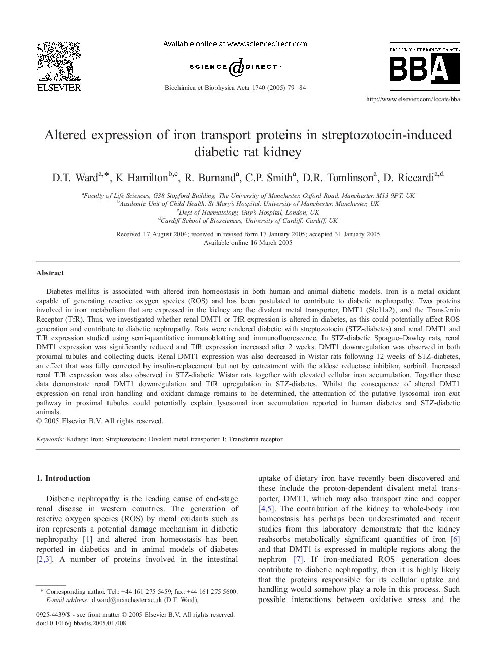 Altered expression of iron transport proteins in streptozotocin-induced diabetic rat kidney