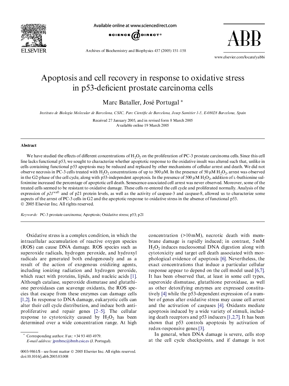 Apoptosis and cell recovery in response to oxidative stress in p53-deficient prostate carcinoma cells