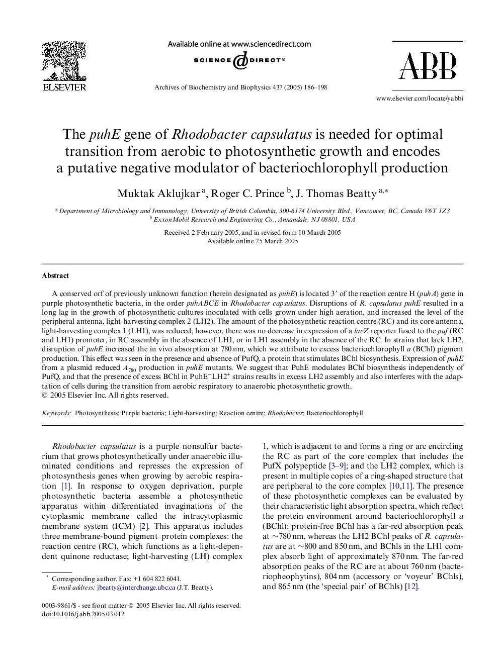 The puhE gene of Rhodobacter capsulatus is needed for optimal transition from aerobic to photosynthetic growth and encodes a putative negative modulator of bacteriochlorophyll production