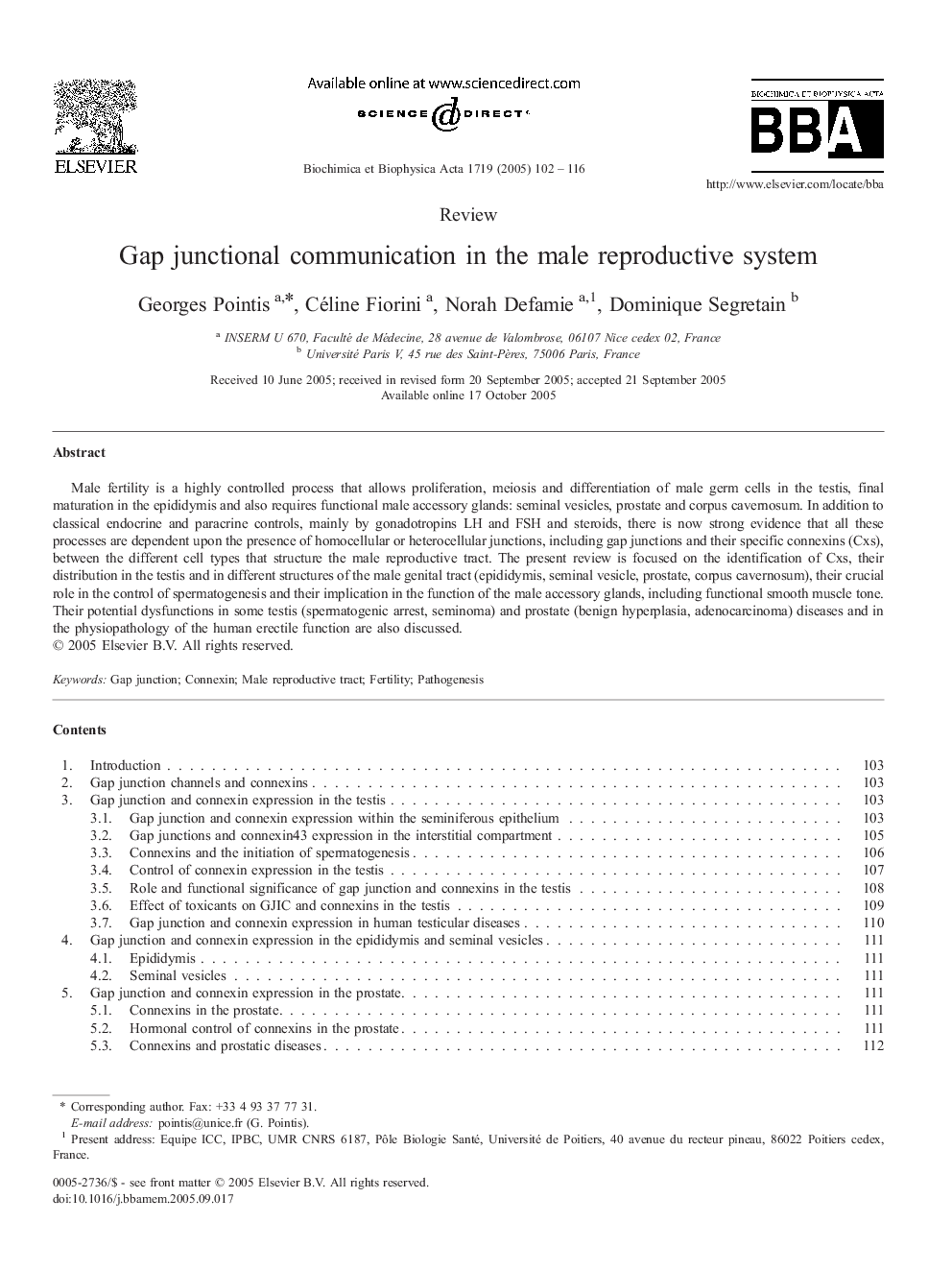 Gap junctional communication in the male reproductive system