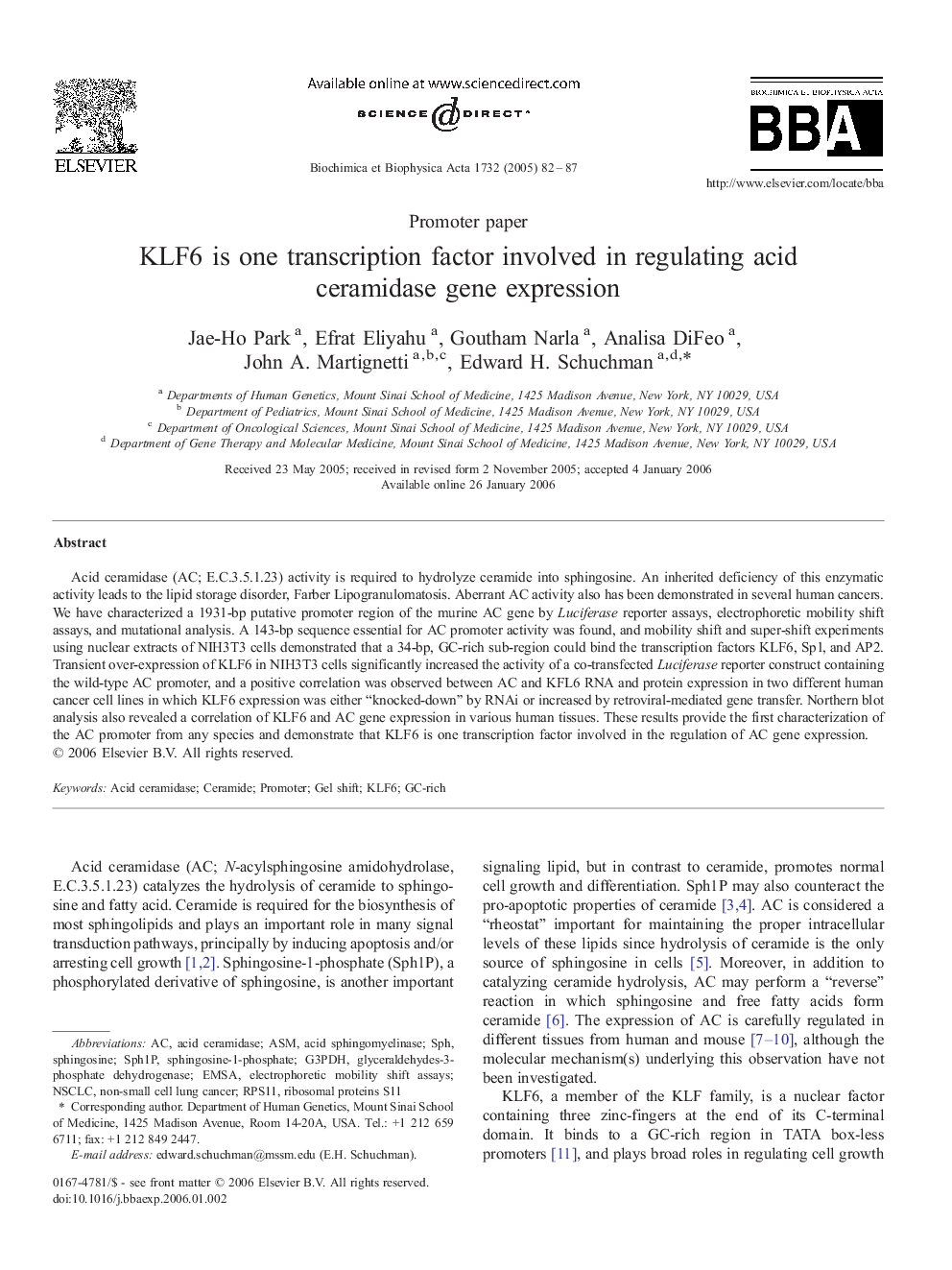 KLF6 is one transcription factor involved in regulating acid ceramidase gene expression