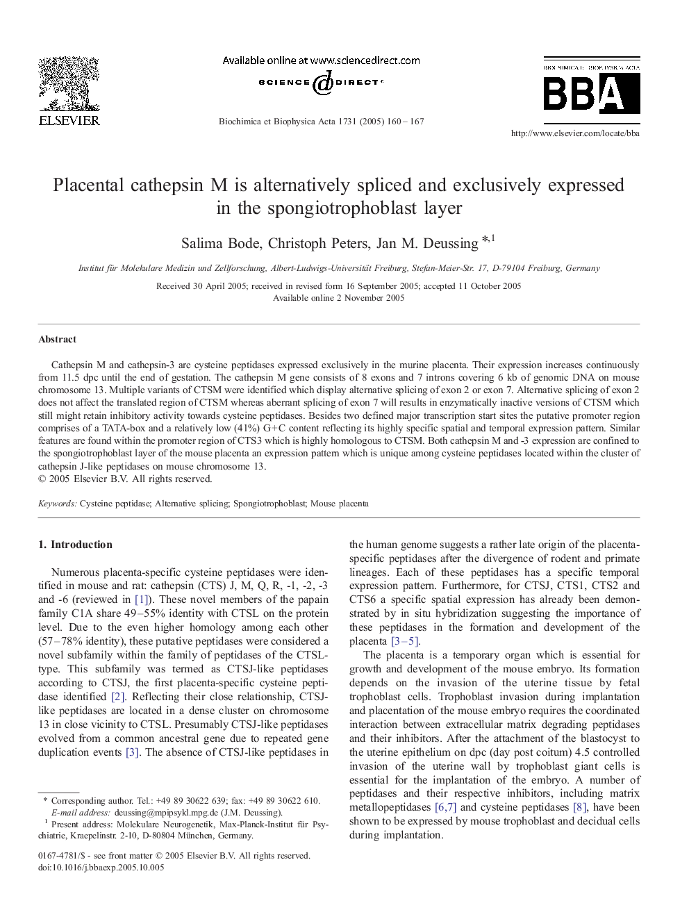 Placental cathepsin M is alternatively spliced and exclusively expressed in the spongiotrophoblast layer