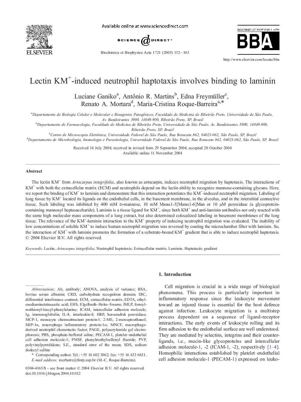 Lectin KM+-induced neutrophil haptotaxis involves binding to laminin