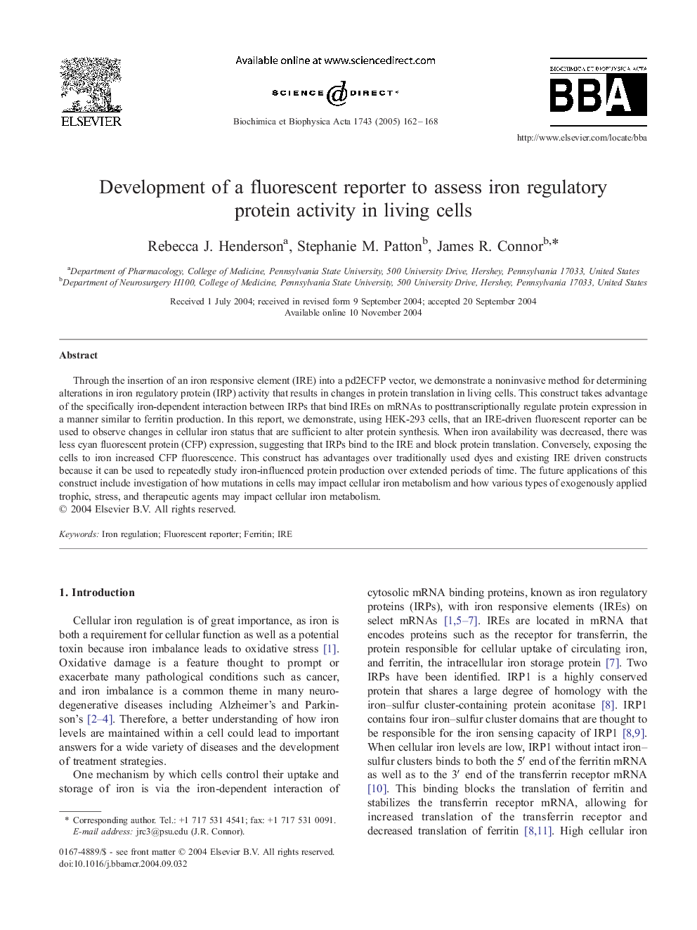 Development of a fluorescent reporter to assess iron regulatory protein activity in living cells