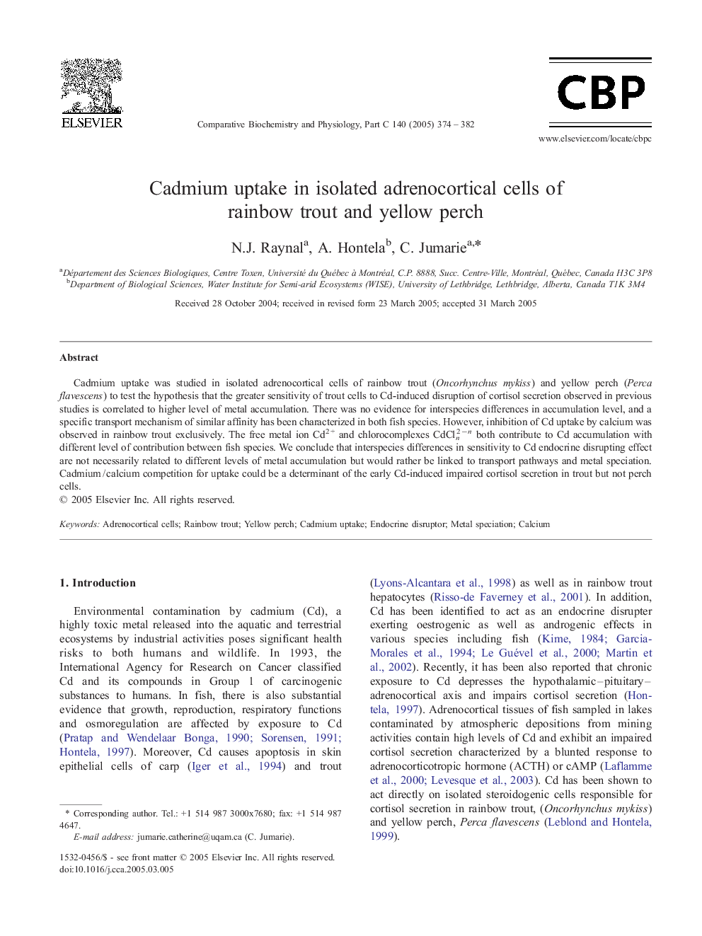 Cadmium uptake in isolated adrenocortical cells of rainbow trout and yellow perch