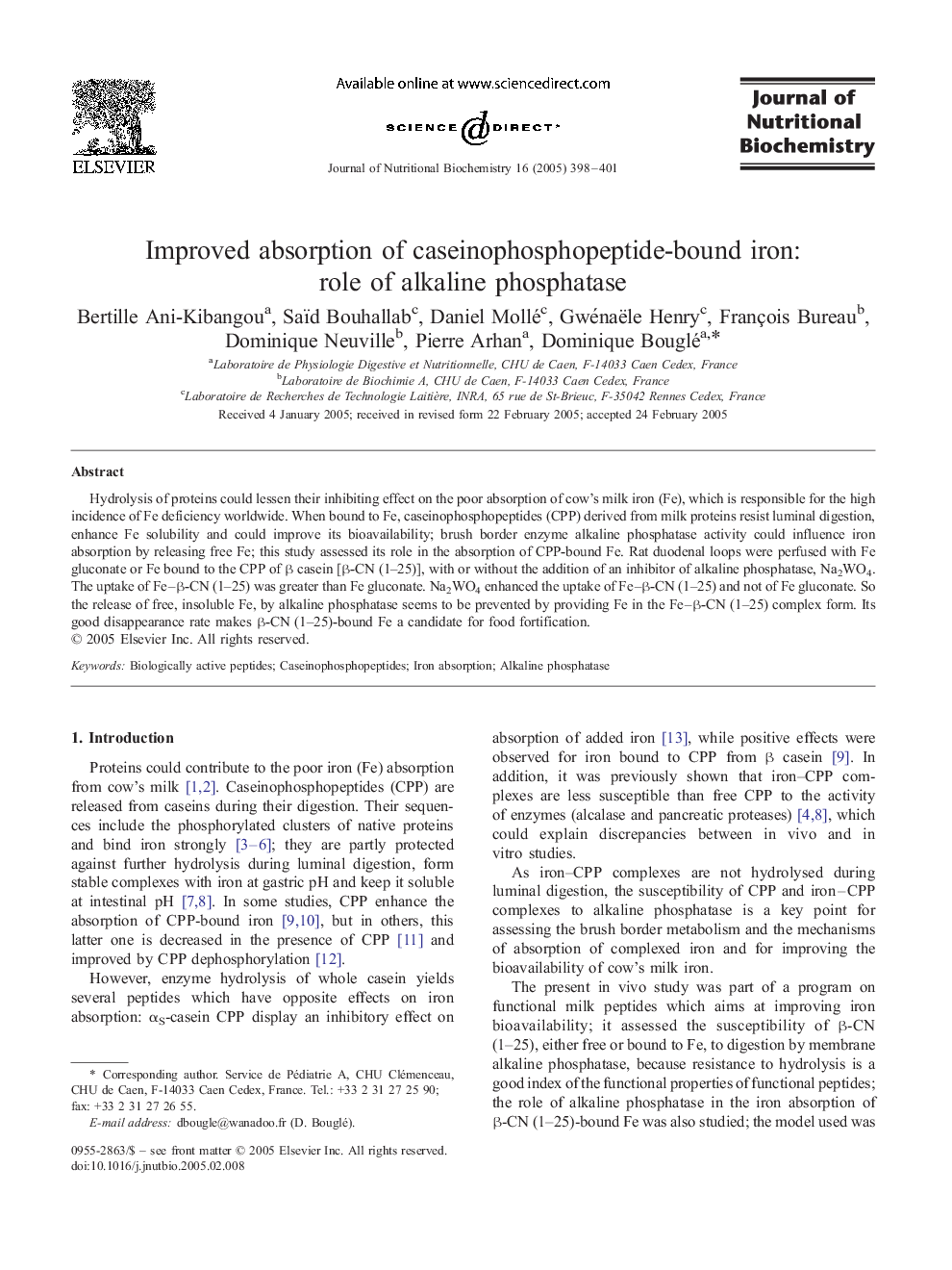 Improved absorption of caseinophosphopeptide-bound iron: role of alkaline phosphatase