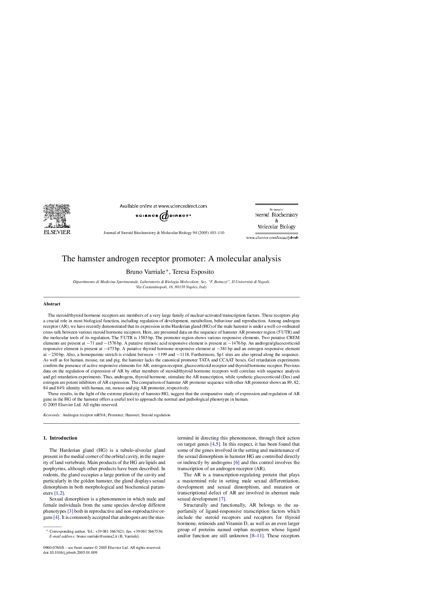 The hamster androgen receptor promoter: A molecular analysis