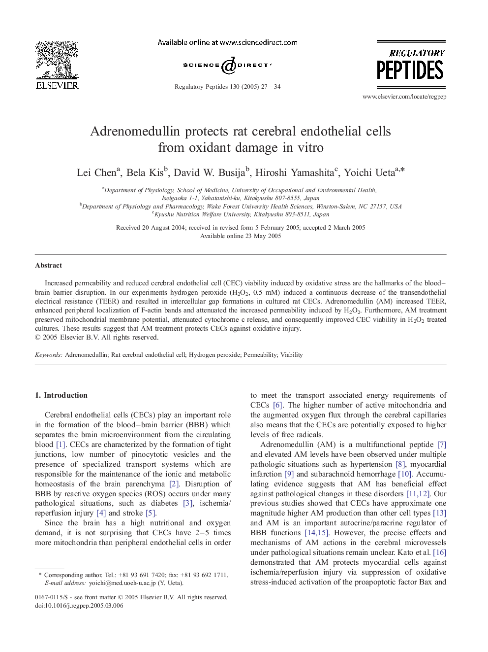 Adrenomedullin protects rat cerebral endothelial cells from oxidant damage in vitro