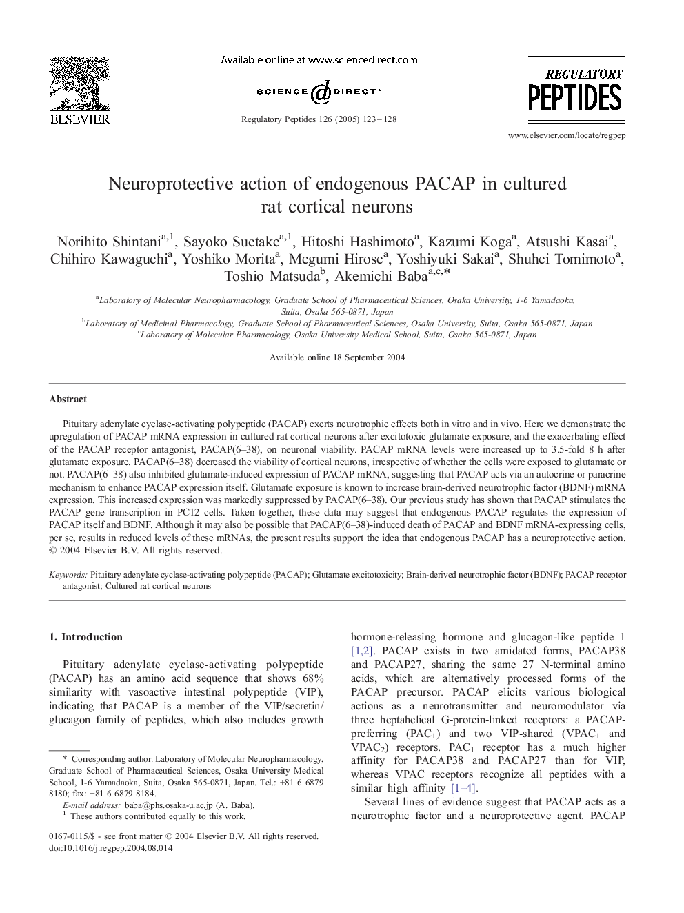 Neuroprotective action of endogenous PACAP in cultured rat cortical neurons