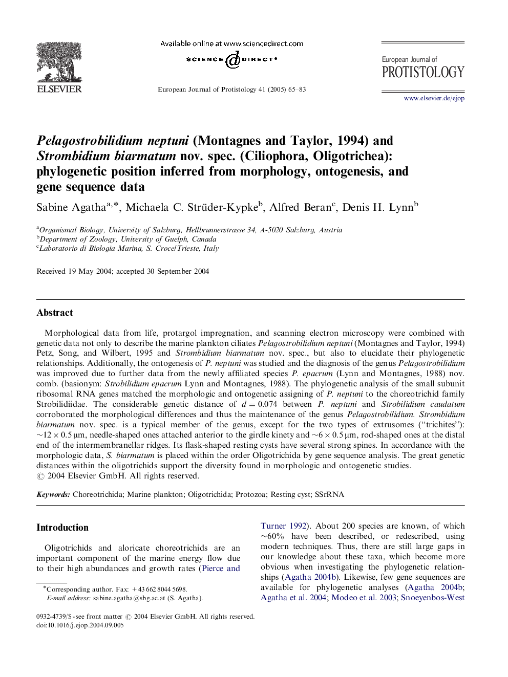 Pelagostrobilidium neptuni (Montagnes and Taylor, 1994) and Strombidium biarmatum nov. spec. (Ciliophora, Oligotrichea): phylogenetic position inferred from morphology, ontogenesis, and gene sequence data