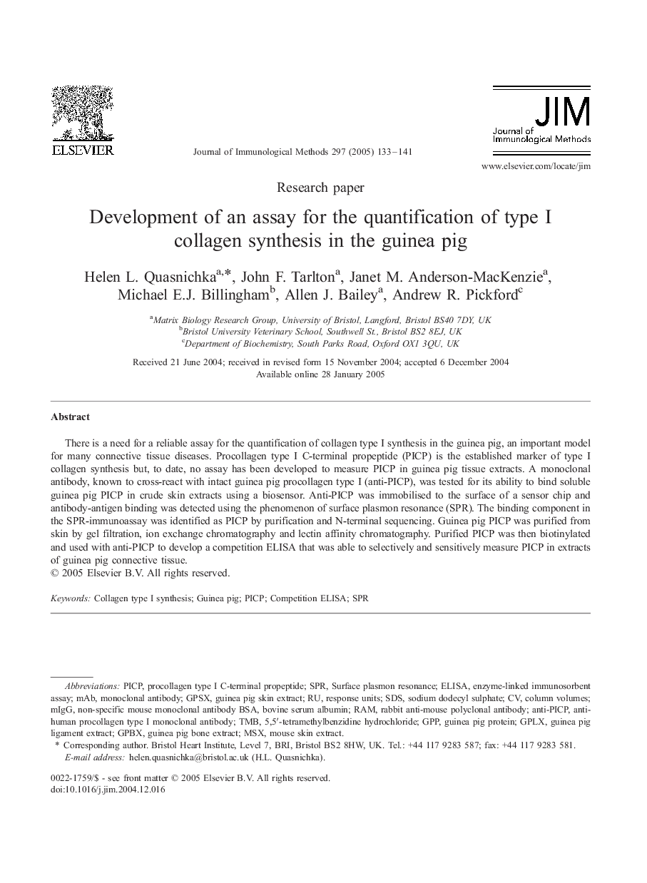 Development of an assay for the quantification of type I collagen synthesis in the guinea pig