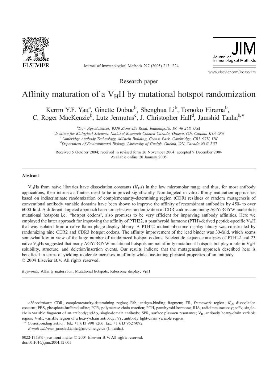 Affinity maturation of a VHH by mutational hotspot randomization