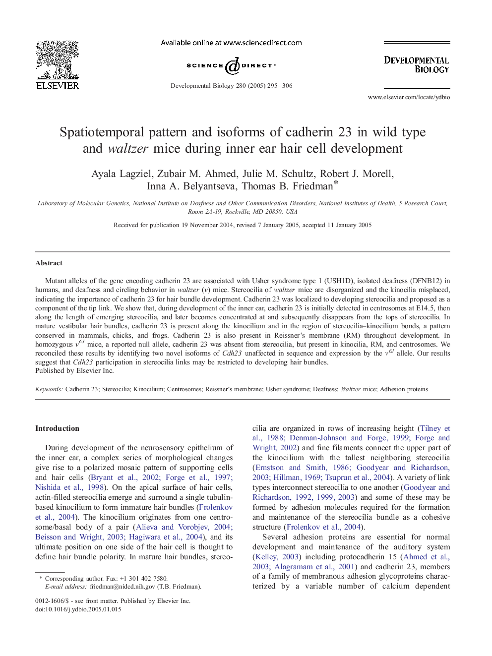 Spatiotemporal pattern and isoforms of cadherin 23 in wild type and waltzer mice during inner ear hair cell development