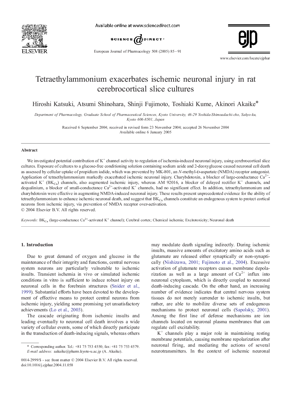 Tetraethylammonium exacerbates ischemic neuronal injury in rat cerebrocortical slice cultures