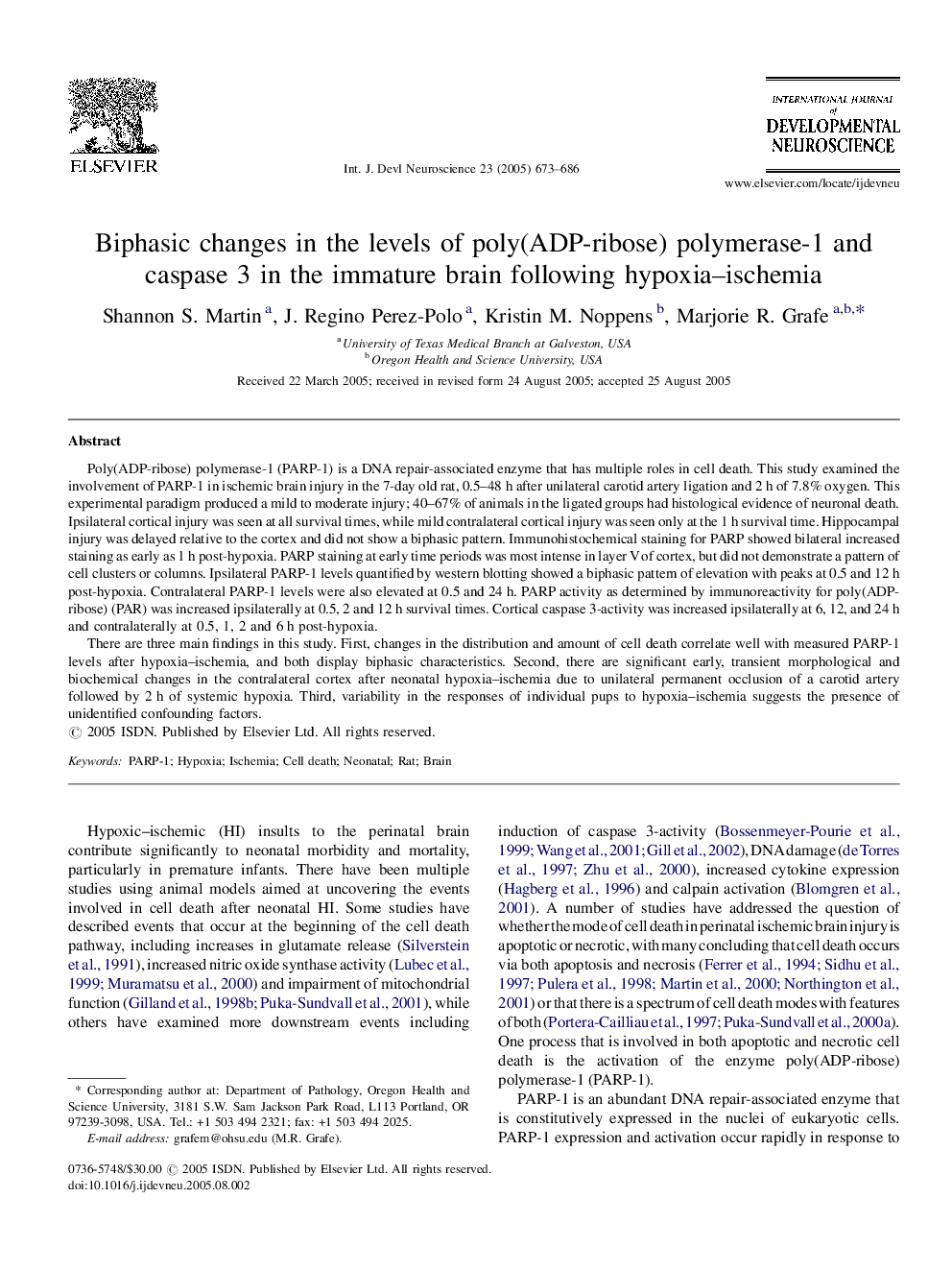 Biphasic changes in the levels of poly(ADP-ribose) polymerase-1 and caspase 3 in the immature brain following hypoxia-ischemia