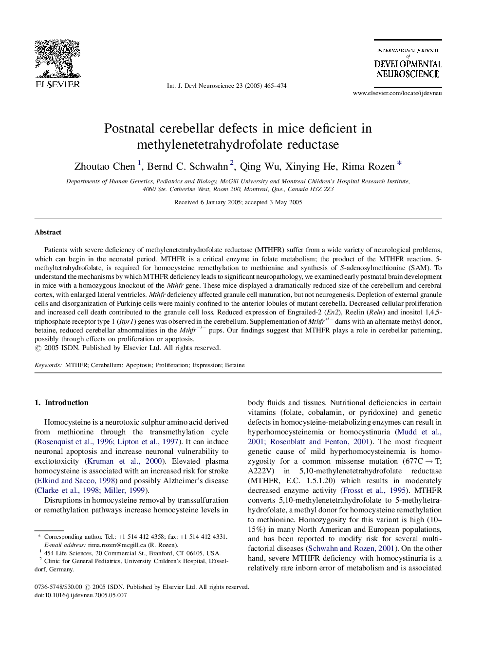 Postnatal cerebellar defects in mice deficient in methylenetetrahydrofolate reductase