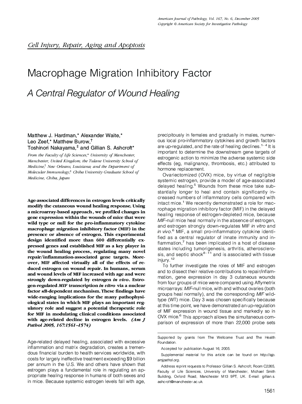 Macrophage Migration Inhibitory Factor