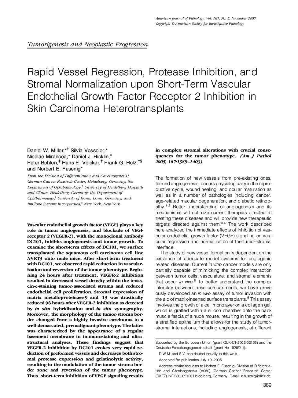 Rapid Vessel Regression, Protease Inhibition, and Stromal Normalization upon Short-Term Vascular Endothelial Growth Factor Receptor 2 Inhibition in Skin Carcinoma Heterotransplants