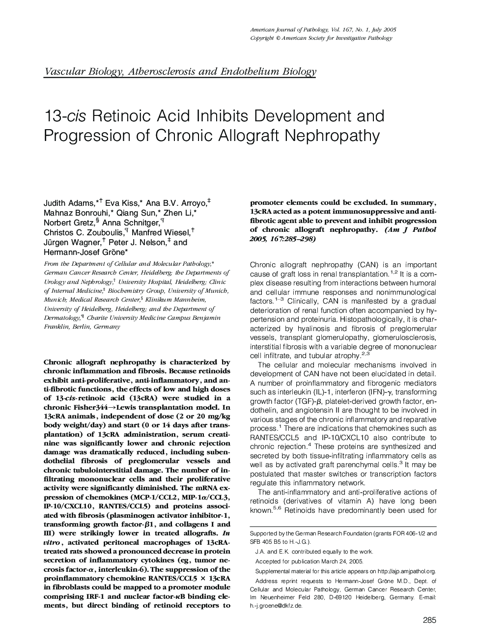 13-cis Retinoic Acid Inhibits Development and Progression of Chronic Allograft Nephropathy