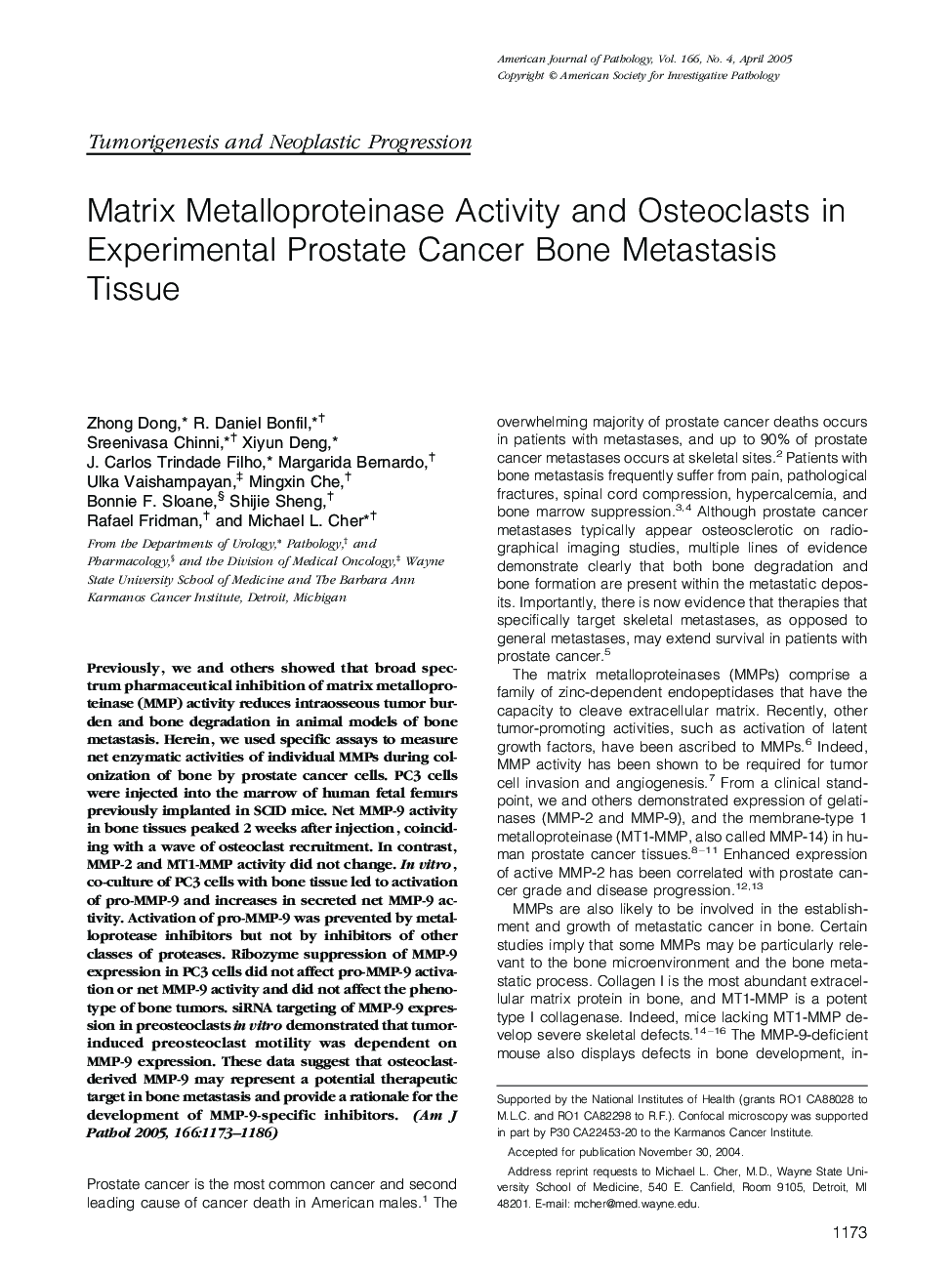 Matrix Metalloproteinase Activity and Osteoclasts in Experimental Prostate Cancer Bone Metastasis Tissue