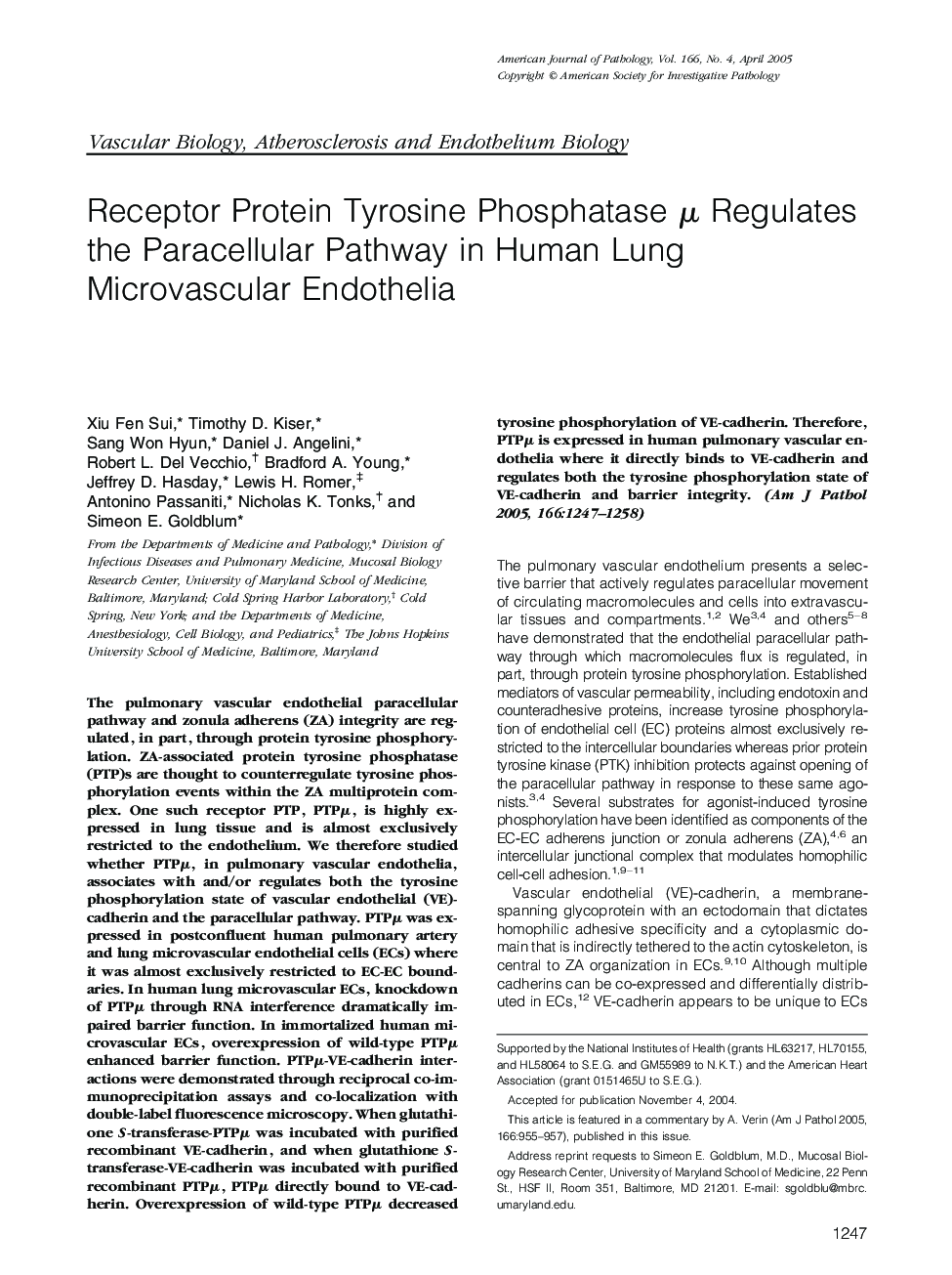 Receptor Protein Tyrosine Phosphatase Î¼ Regulates the Paracellular Pathway in Human Lung Microvascular Endothelia